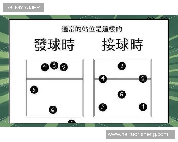 排球盛宴：深入解析广州排球队的默契配合与战术策略