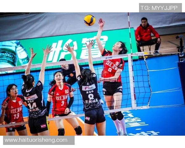 武汉排球队在冠军赛中的实力展现与未来发展潜力分析